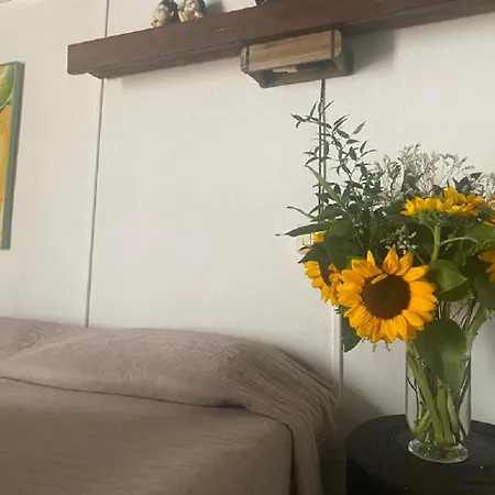 Casetta Vacanze Nonna Antonietta קרבוניה